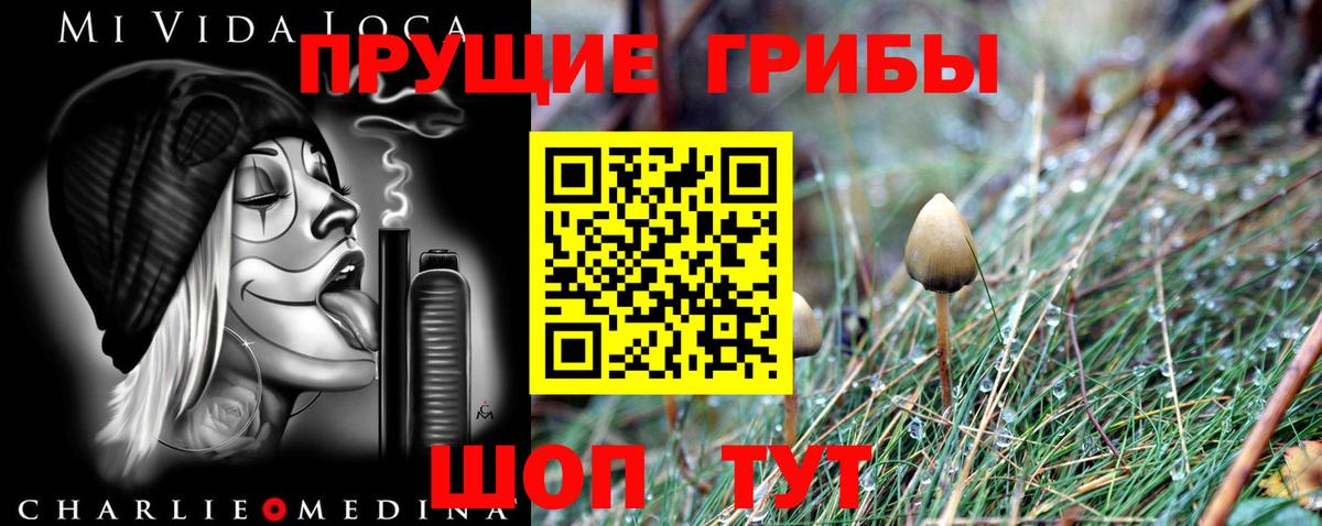 Батайск  Псилоцибиновые грибы мицелий  Галлюциногенные грибы Magic Shrooms  Вход с VPN 